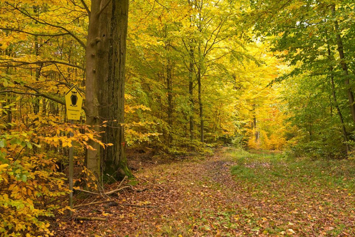 Hotel Altes Gutshaus-federow 3*